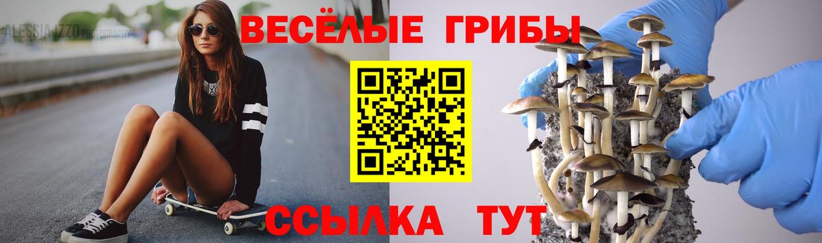 Кохма  Псилоцибиновые грибы GOLDEN TEACHER  Вход с VPN 
